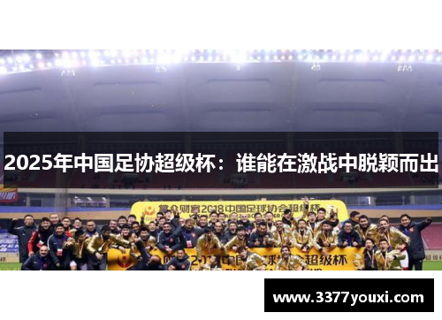 2025年中国足协超级杯：谁能在激战中脱颖而出